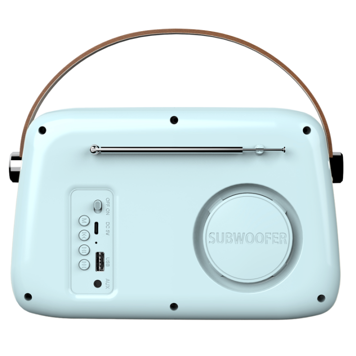 Radio FM Vintage & Enceinte Bluetooth - Techwood