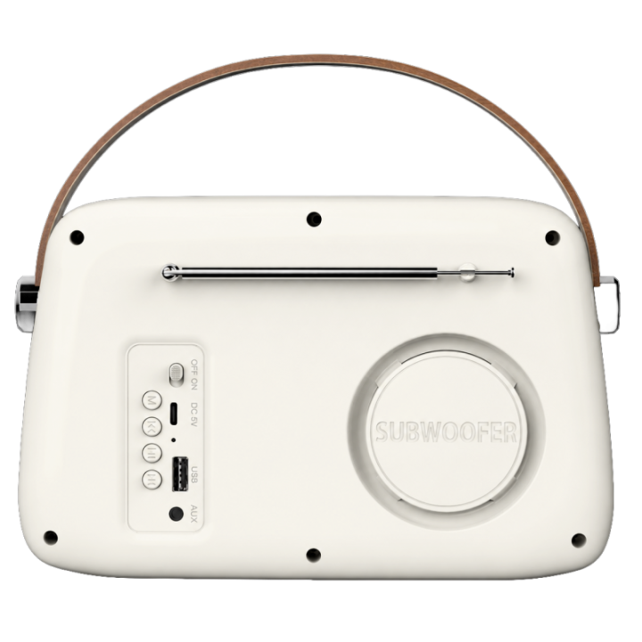 Radio FM Vintage & Enceinte Bluetooth - Techwood