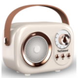 Radio FM Vintage & Enceinte Bluetooth - Techwood