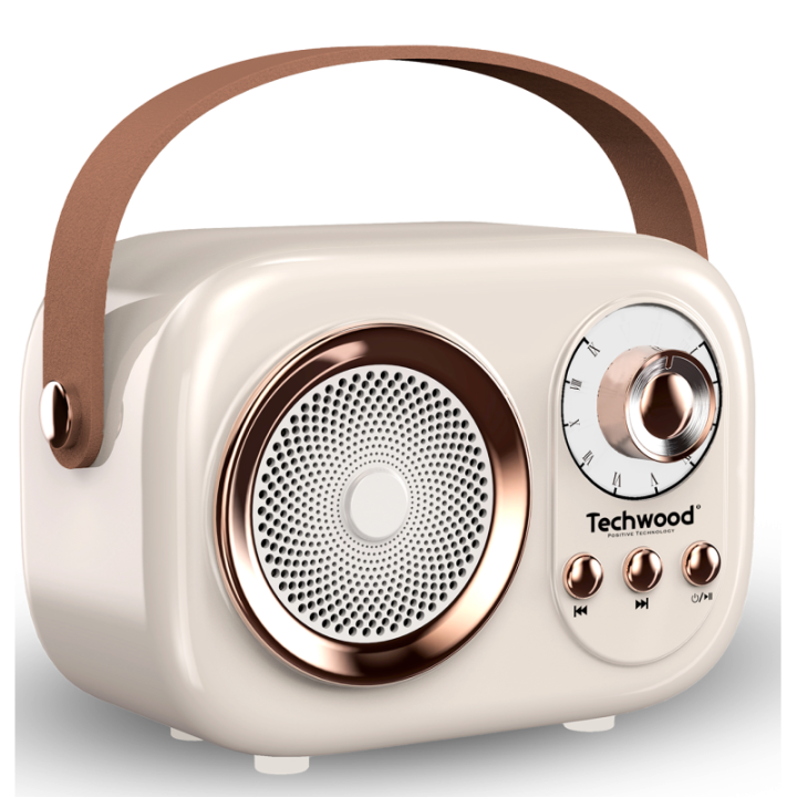 Radio FM Vintage & Enceinte Bluetooth - Techwood