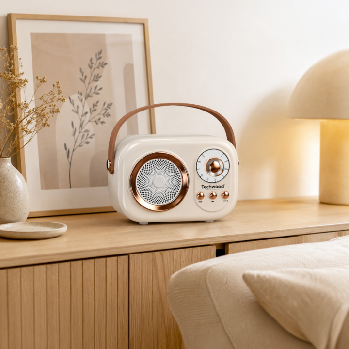 Radio FM Vintage & Enceinte Bluetooth - Techwood