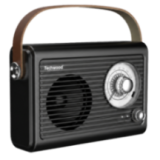 Radio FM Vintage & Enceinte Bluetooth - Techwood