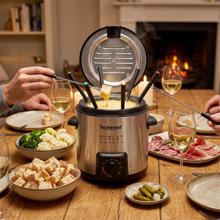 Friteuse et Appareil à Fondue 2-en-1 Techwood Inox | 1L
