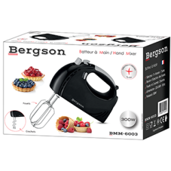 Batteur à Main 300W
