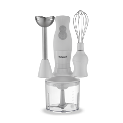 Mixeur Multifonction - 300W