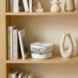 Ventilateur Nomade Sans Fil - Silencieux, Pliable et Télescopique