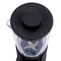Mini Blender 300W