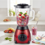 Blender INOX 500W