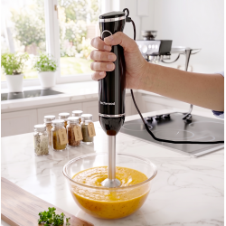 600W hand blender