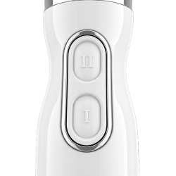 Mixeur Plongeant 600W