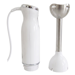 Mixeur Plongeant 600W