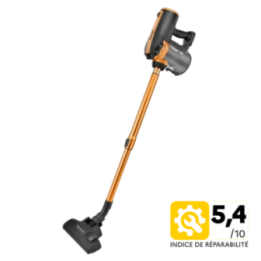 2 in 1 Upright Vacuum Cleaner
